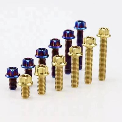 Titanium Bolts GR5 TC4 Ti-6al-4v Titanium Fastener for Automobiles and Motorcycles